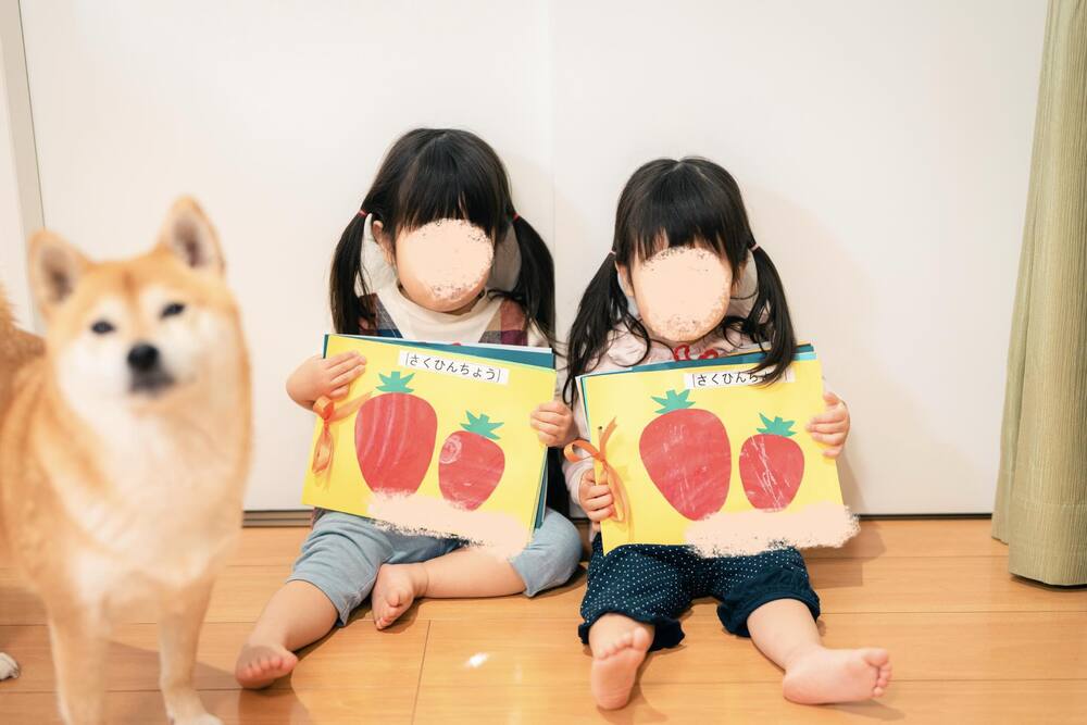 自然とポーズを決めるむぎちゃん③（@shiba_mugistaさんより提供）