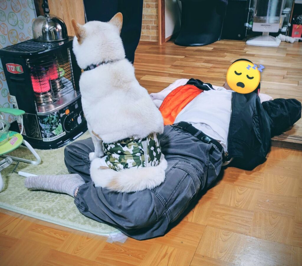 愛犬に乗られる息子さん（＠kaori_luck.cima.sunさんより提供）