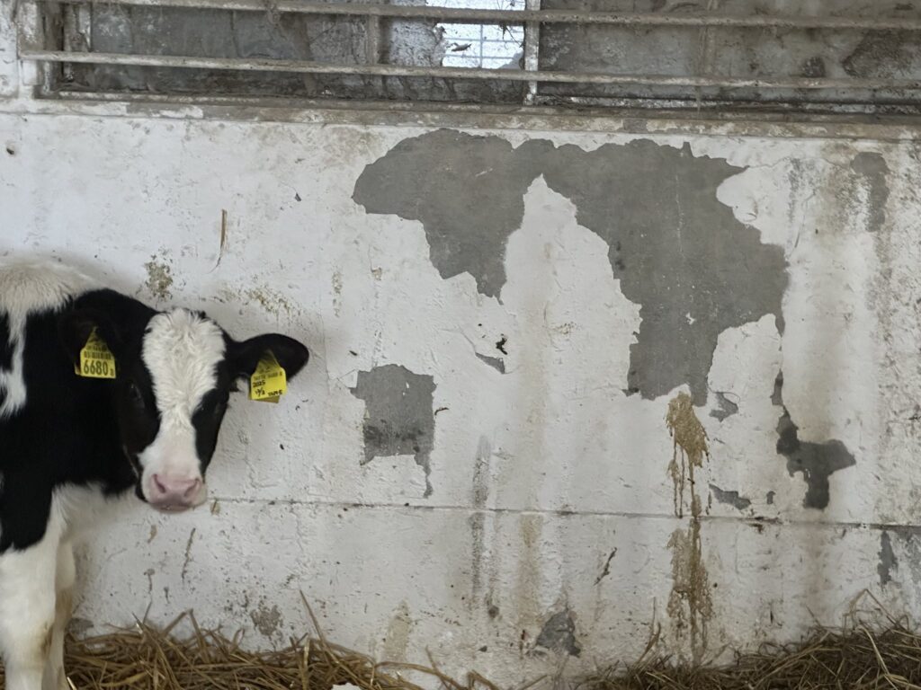 世界地図にみえる壁（＠mominoki_farmさんより提供）