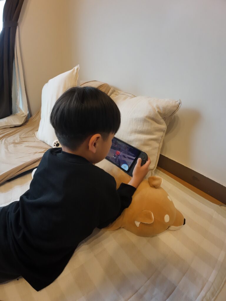 【実際の写真】　母が見た光景