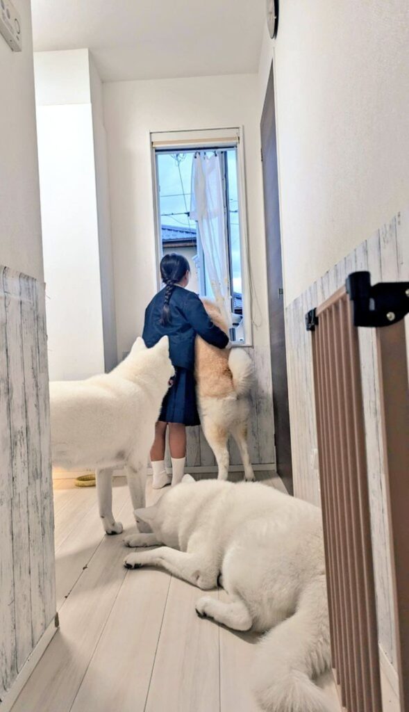 【実際の写真】　現在の様子