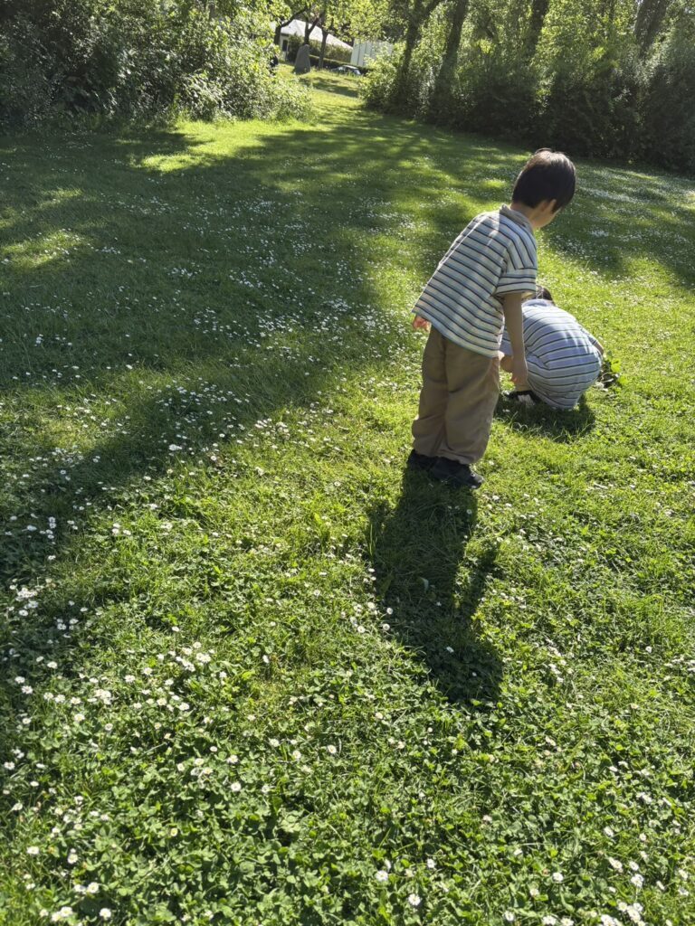 【実際の写真】　　投稿された写真