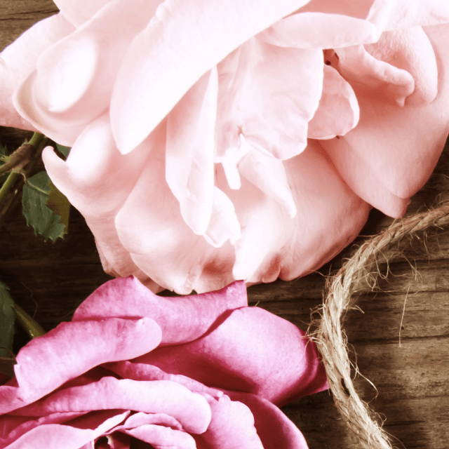 【実際の写真】　投稿者さんが見た光景