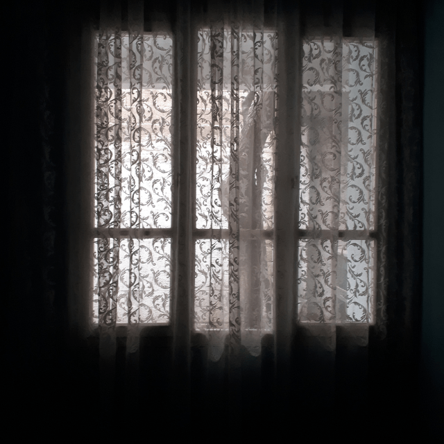 【実際の写真】　女性が見た光景