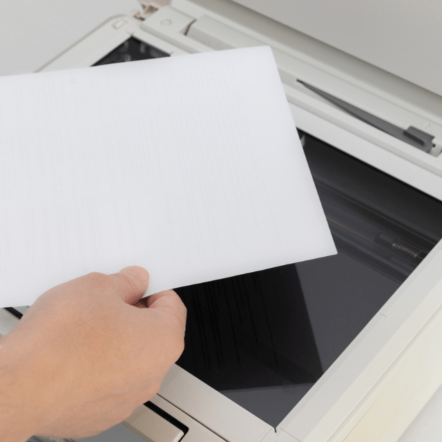 【実際の写真】　