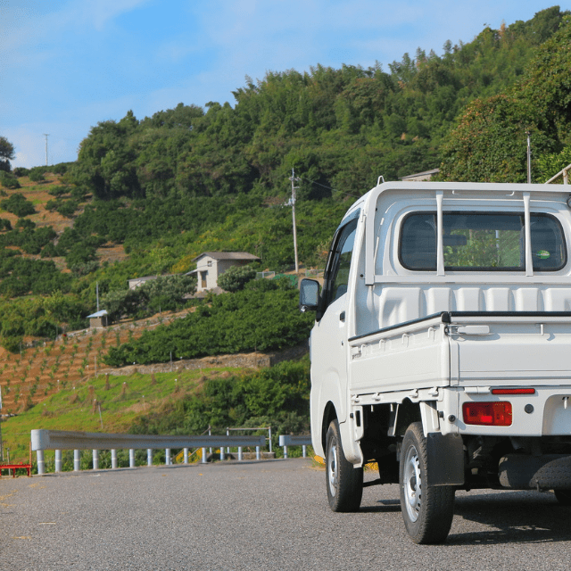 【実際の写真】　投稿された写真