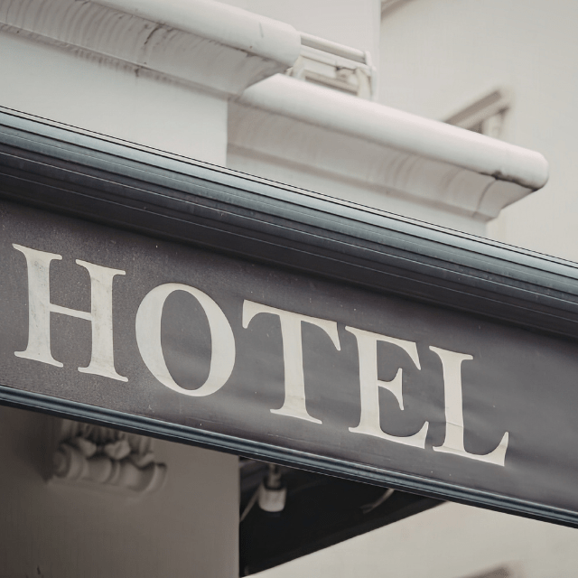 【実際の写真】　購入したモノ