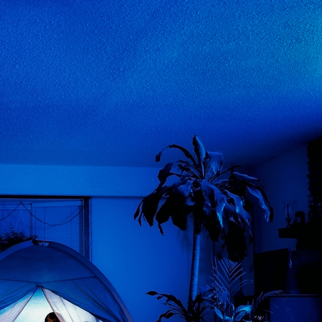 【実際の写真】　　母が投稿した光景