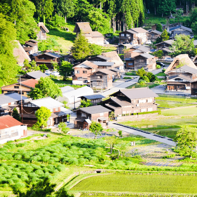 【実際の写真】　現在の様子