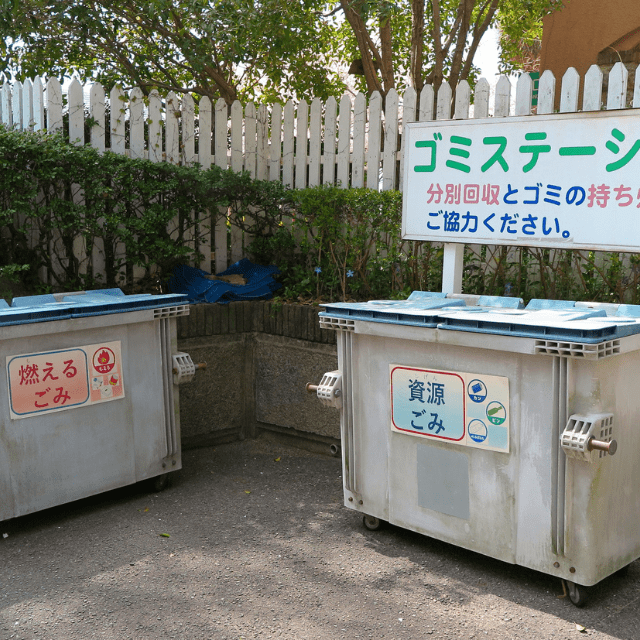 【実際の写真】　まさかの光景