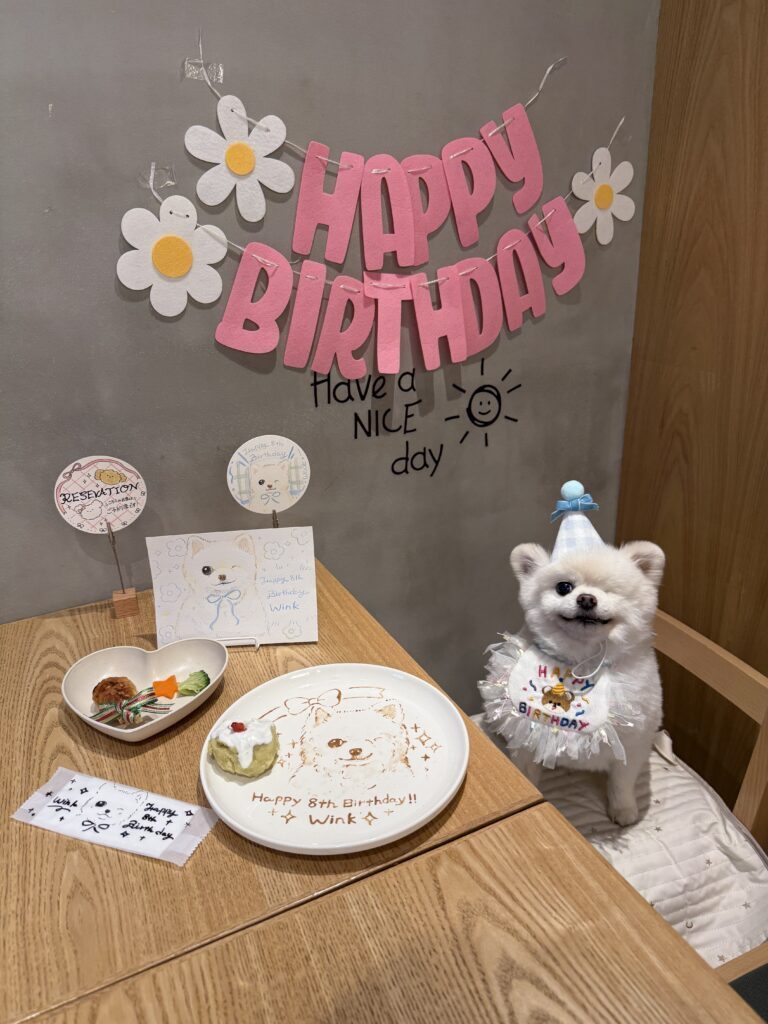 普段の様子④（＠twinkle_wink11さんより提供）