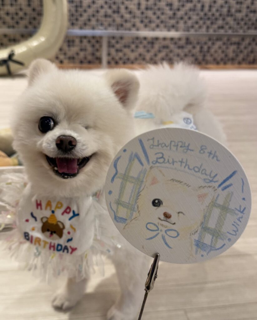 普段の様子②（＠twinkle_wink11さんより提供）