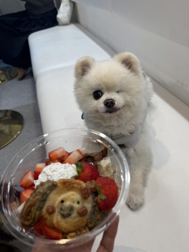 普段の様子③（＠twinkle_wink11さんより提供）