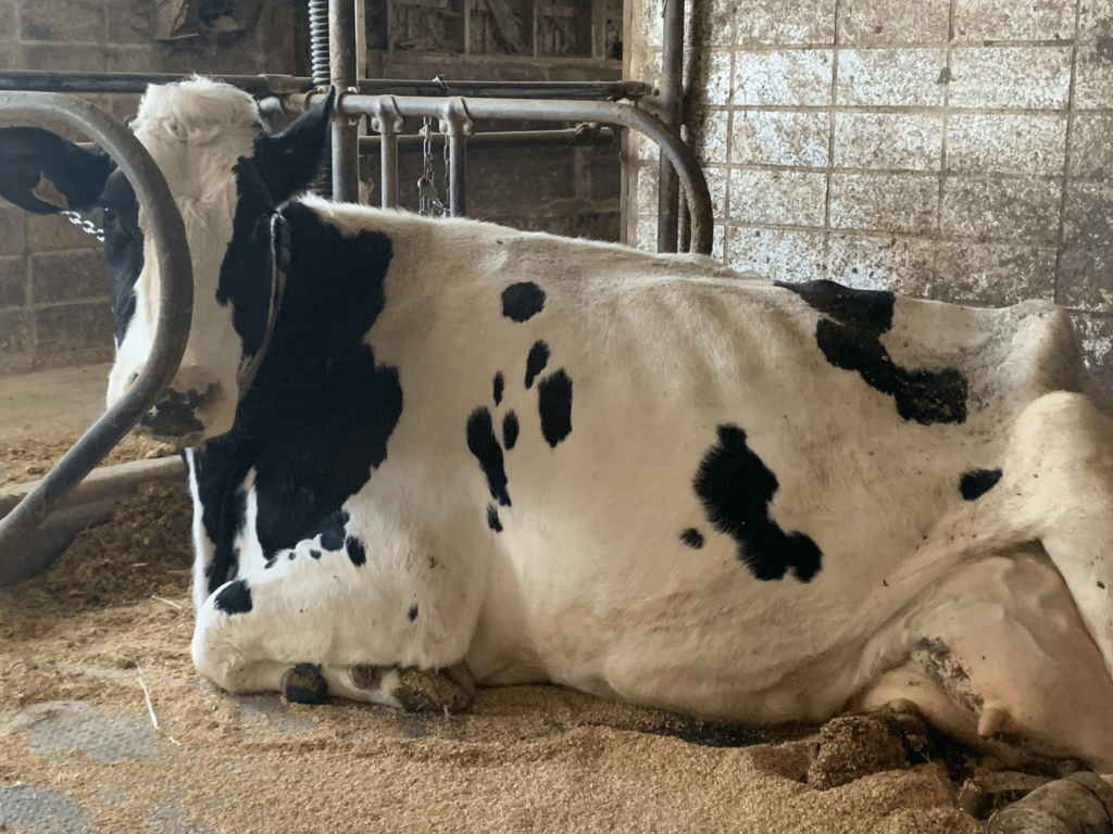 【実際の写真】　スタッフが見た光景