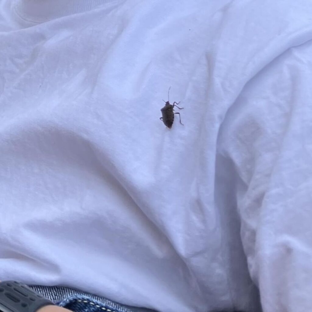 Tシャツに付いた模様（@iku_ptさんより提供）