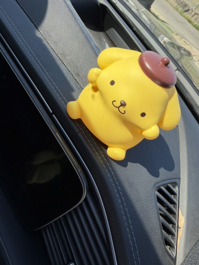 車に飾っているキャラクターのグッズ（@kaokao.maruさんより提供）