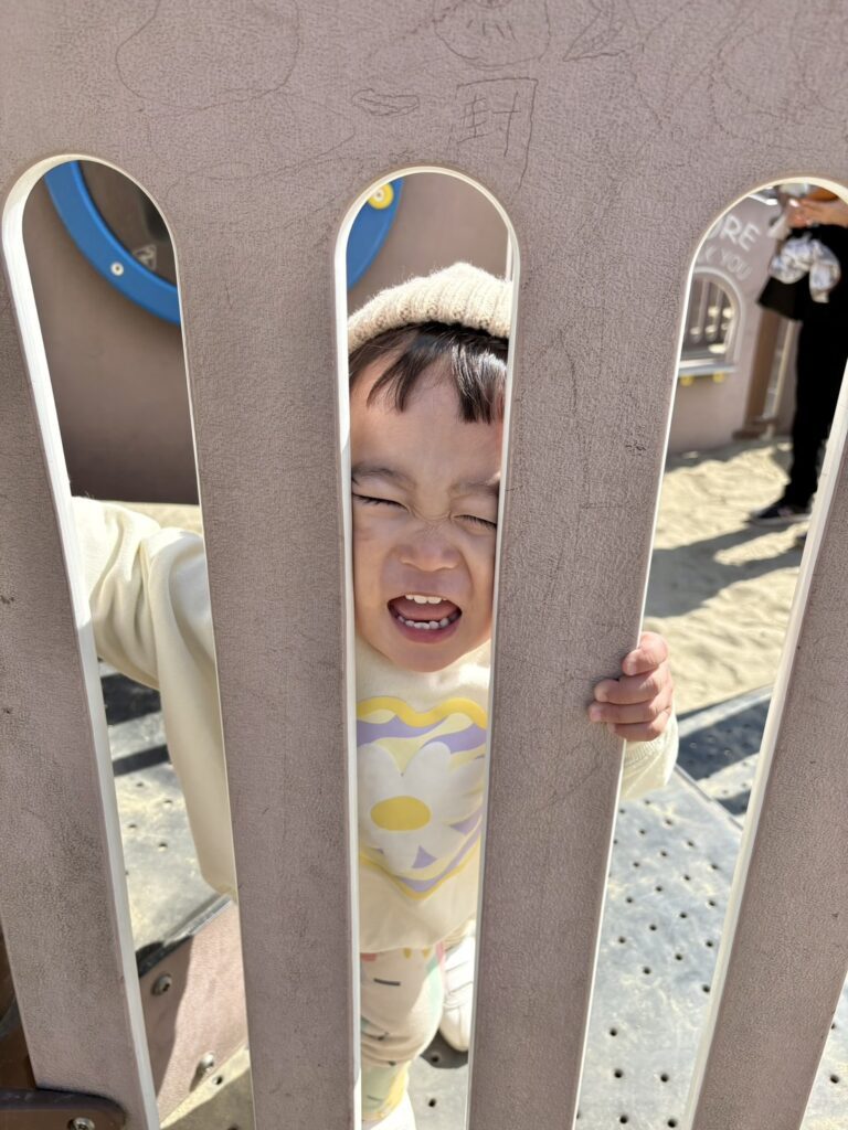 【実際の写真】　母が見た光景