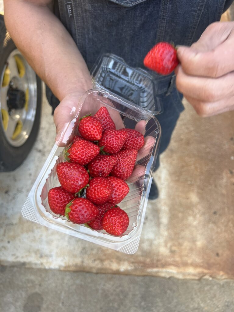 近所の方からのお裾分け②（＠okinawa_bananaさんより提供）