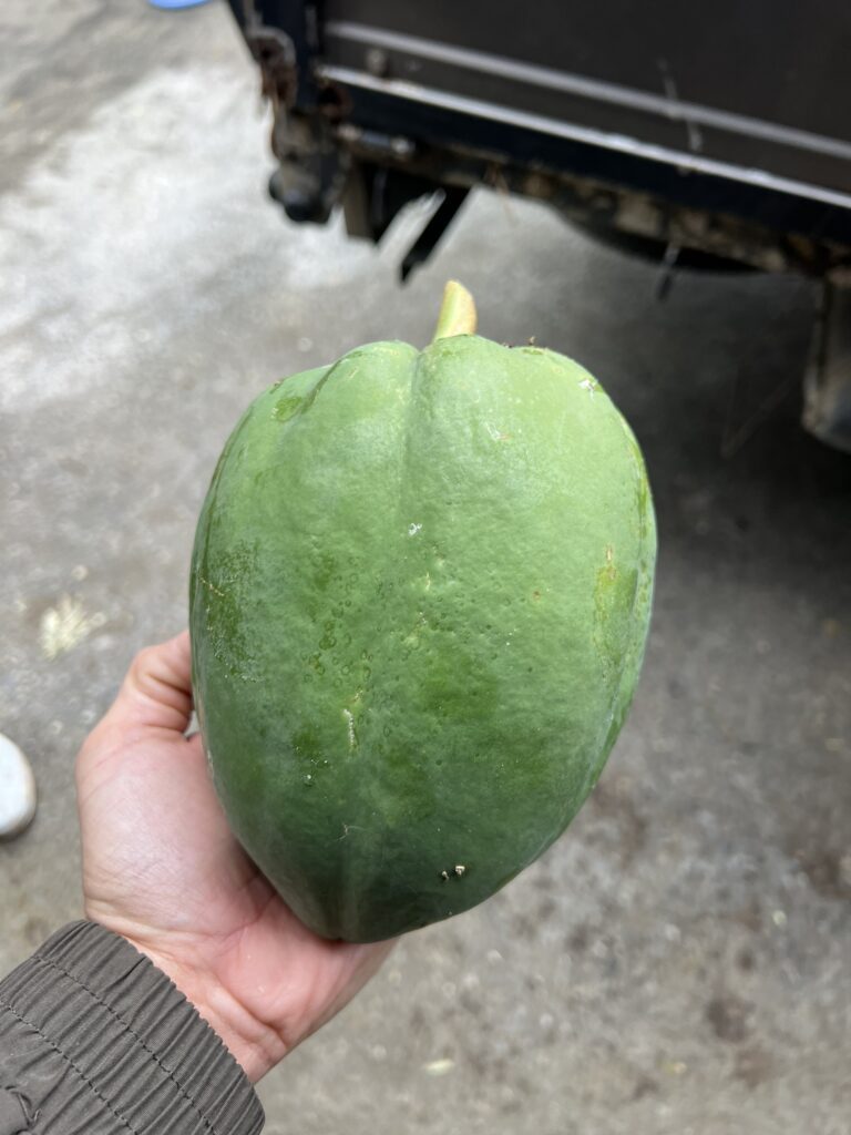近所の方からのお裾分け③（＠okinawa_bananaさんより提供）