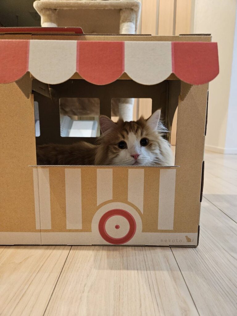 こてつくん②（＠tatsumi_yamaiさんより提供）