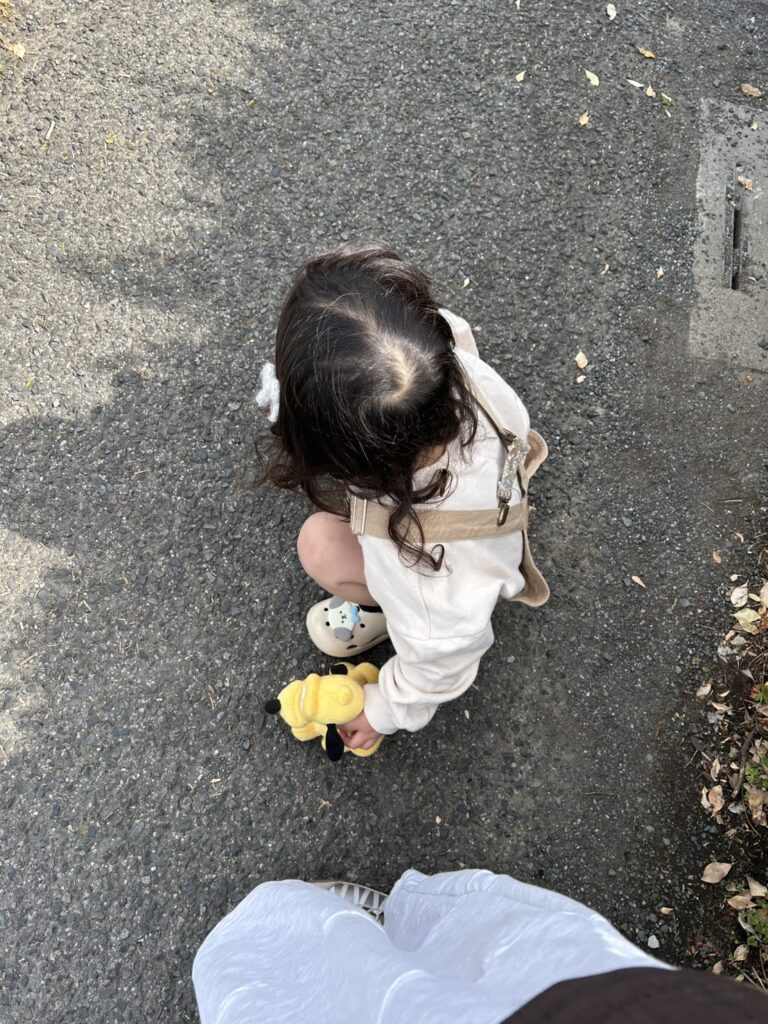 【実際の写真】　母が見た光景