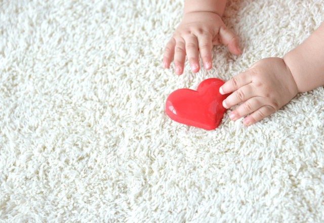 【実際の写真】　夫が見た光景