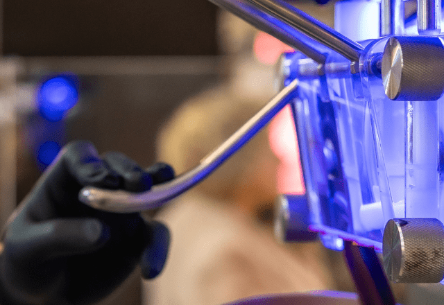 【実際の写真】　母が見た光景