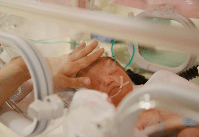 【実際の写真】　命名書の様子