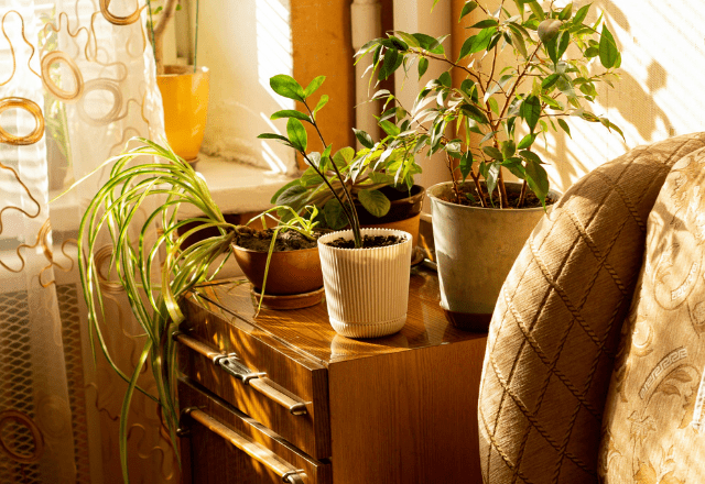 【実際の写真】　母が見た光景