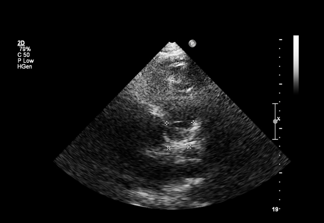 【実際の写真】　投稿された写真