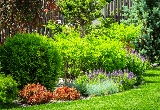 【実際の写真】　投稿者さんが見た光景
