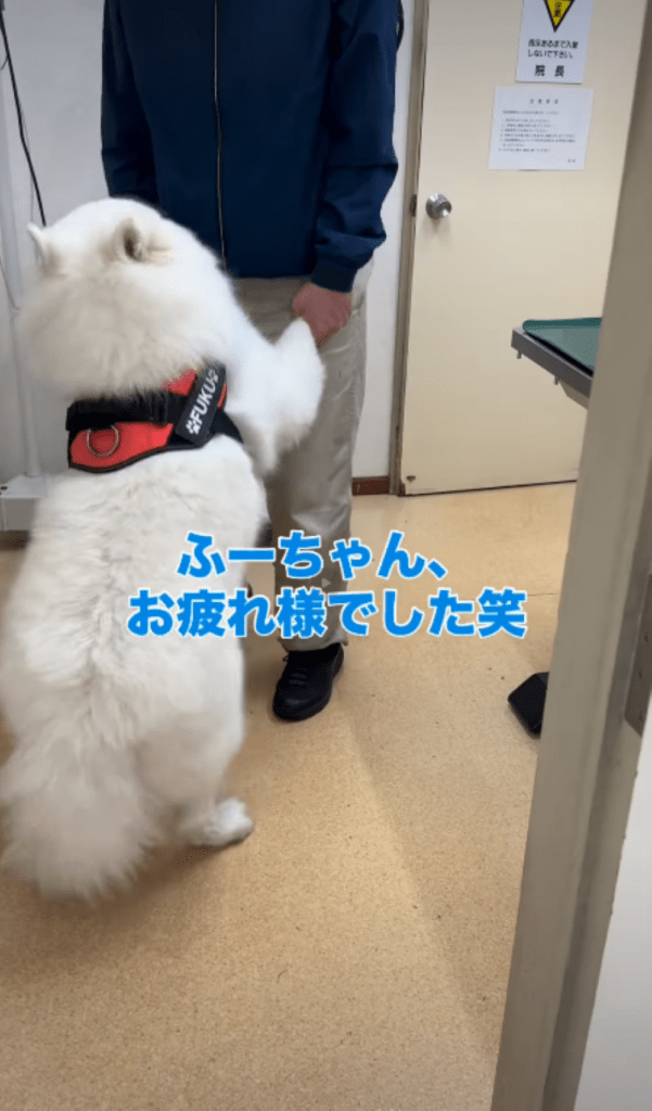 無事に注射を終えた様子②（＠tata_haku_fukuさんより提供）