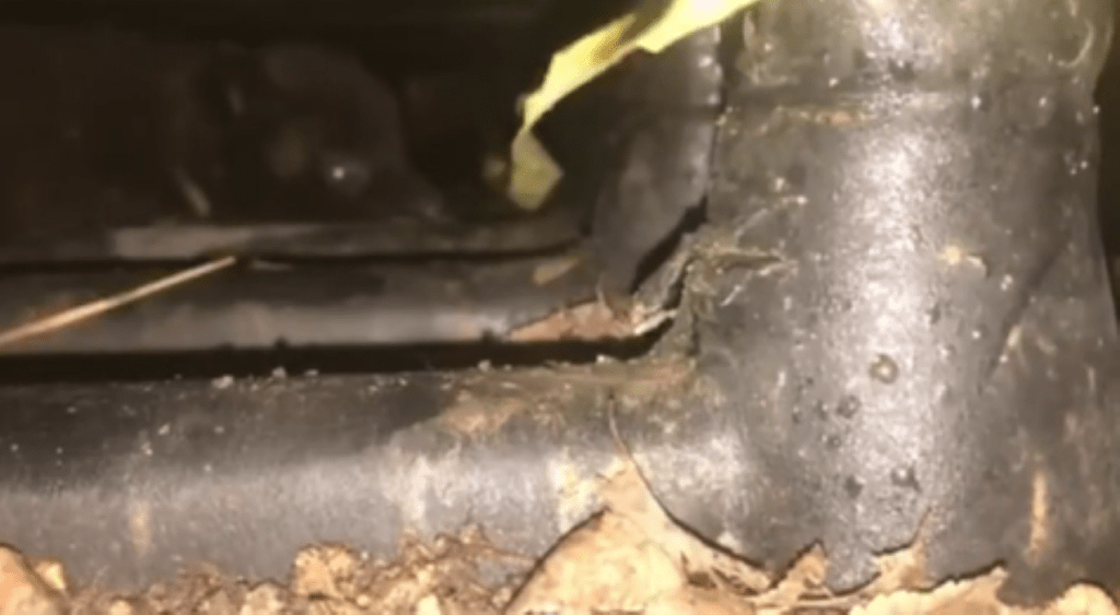 【実際の写真】　現在の様子