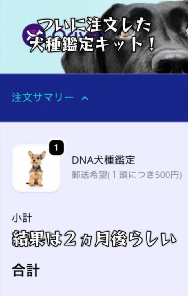 【実際の写真】　ワンちゃんの姿