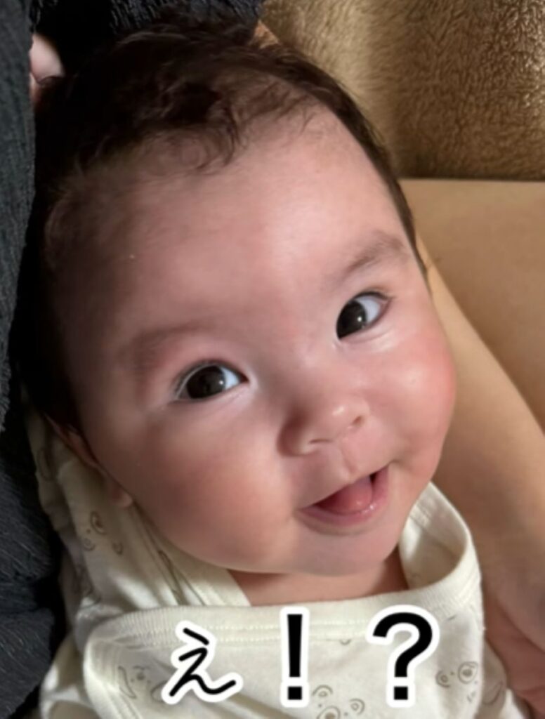 【実際の写真】　現在の様子