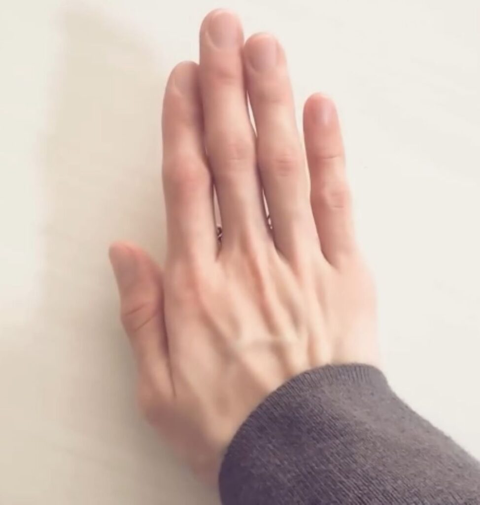 【実際の写真】　投稿された写真