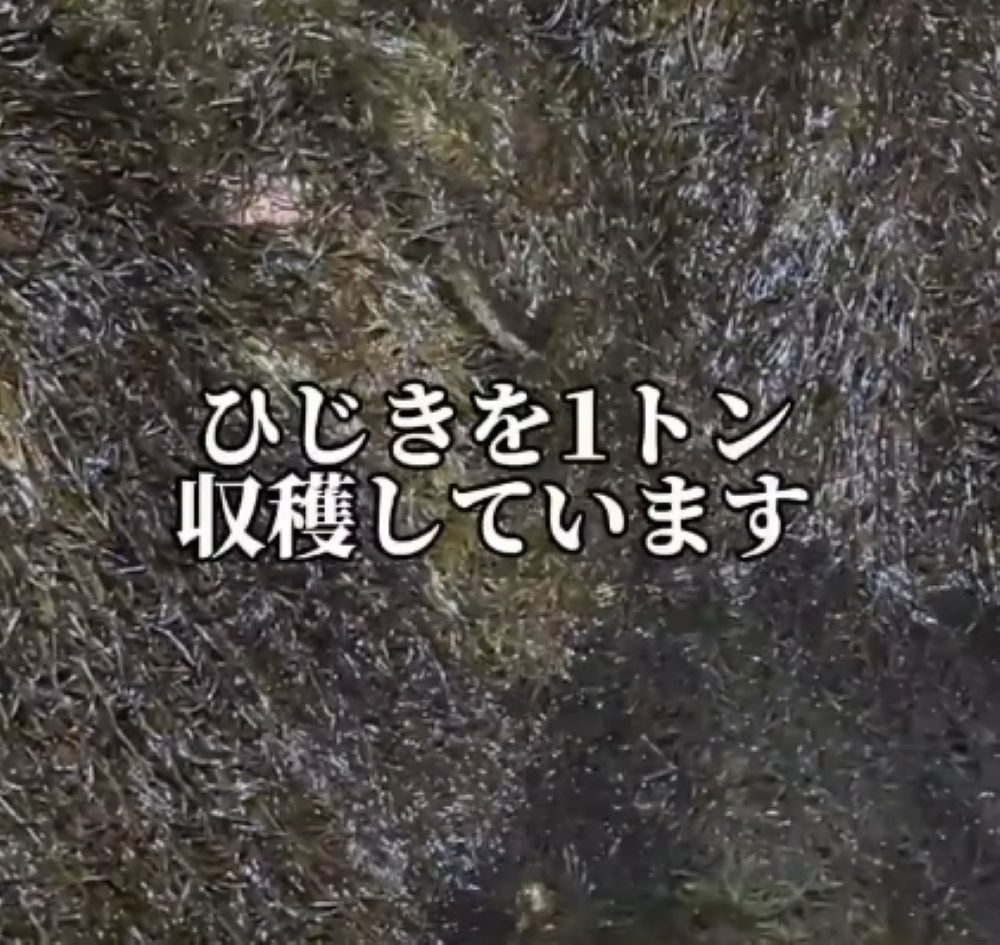 【実際の写真】　現在の様子