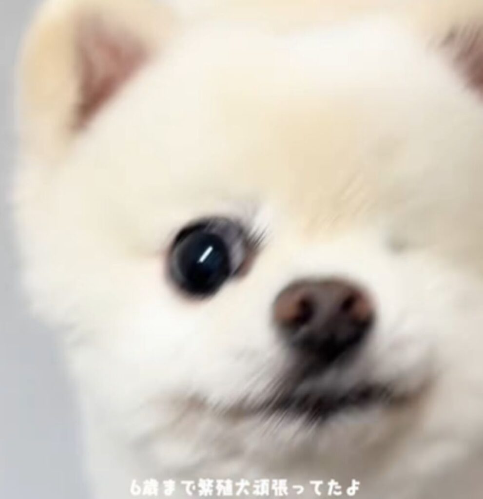 【実際の写真】　投稿された写真