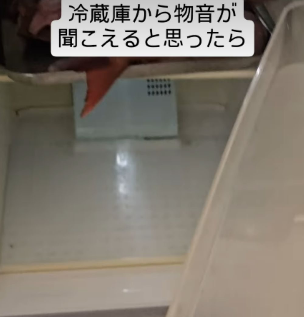 冷蔵庫からの物音に違和感。恐る恐る開けると…予想外のモノが動いていて「怖すぎる」「叫ぶ案件」