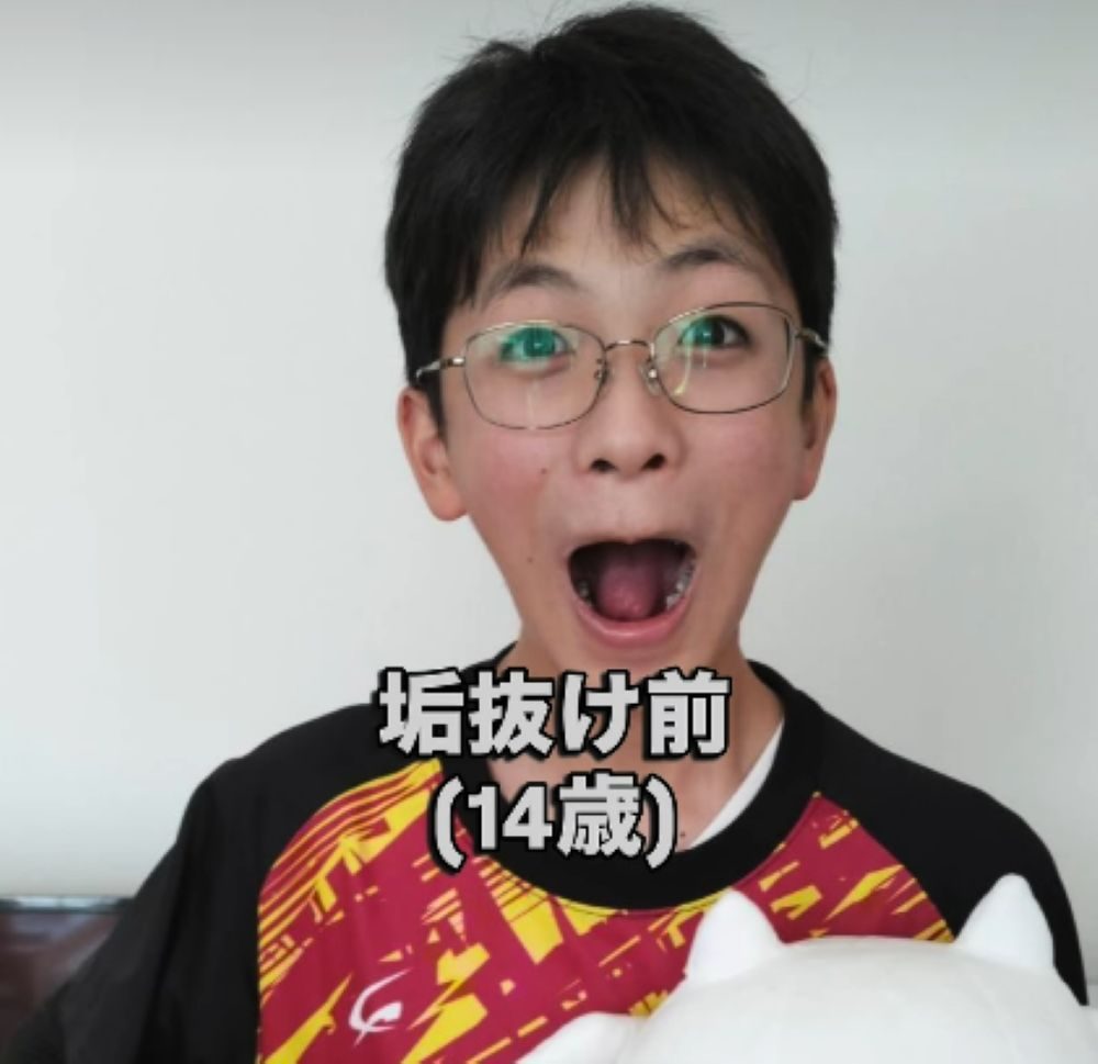 【実際の写真】　現在の様子