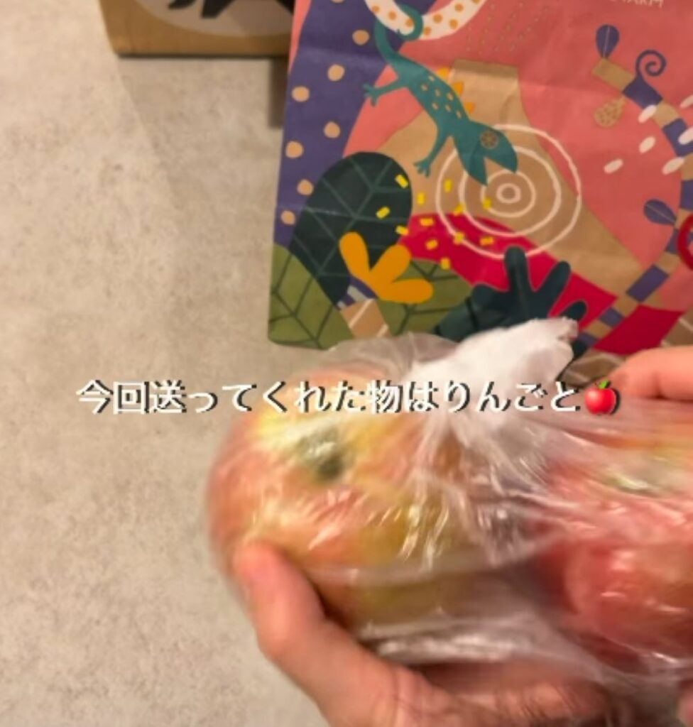 【実際の写真】　送られてきたモノ