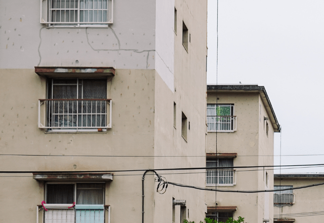 【実際の写真】　母からの仕送り