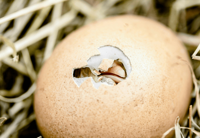 【実際の写真】　現在の様子