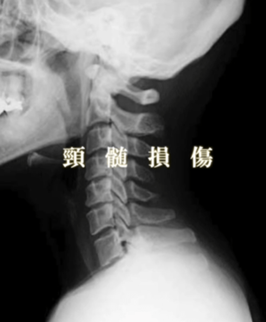 【実際の写真】　　現在の様子