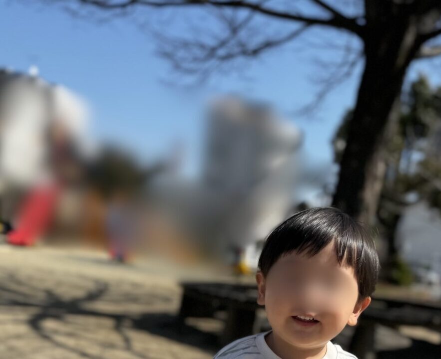 シャボン玉を始めた2歳息子。開始5分ですべてが終わった“まさかの瞬間”に「全ママが泣ける会場はこちらですか?」「おぉ…素晴らしい画像だ」「あっ……」
