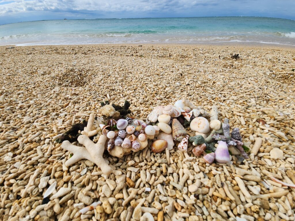 浜辺の写真②（＠akemi74rocksさんより提供）