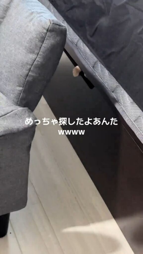 発見時の様子②（@user1120044479255さんより提供）