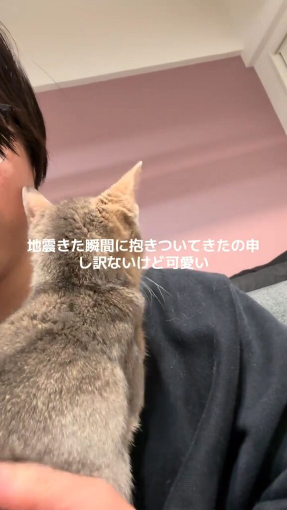 普段の猫ちゃんの様子④（@user1120044479255さんより提供）