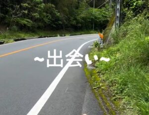 車を運転中…道路に違和感。夫「何か白いのが…」→車を停めると“まさかの光景”に「ほんまの珍事件w」「運命の出会い」「これは笑ってまう」