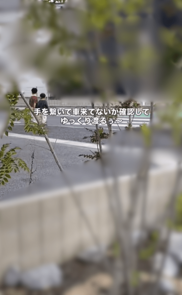 【実際の写真】母が見た光景